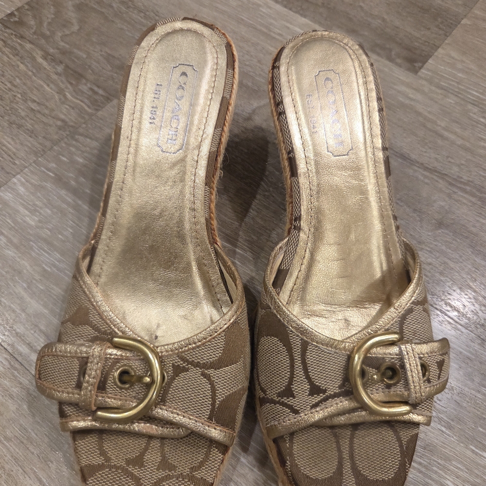 Vintage Coach Wedges